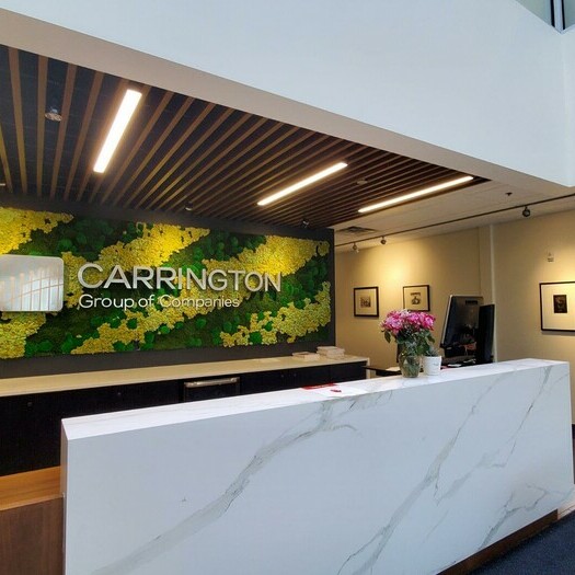 carrington group 